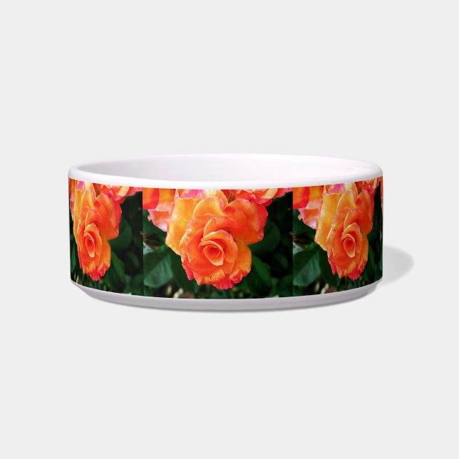 Orange Rose Blume Napf (Vorderseite)