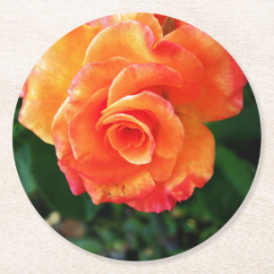 Orange Rose Blume Runder Pappuntersetzer
