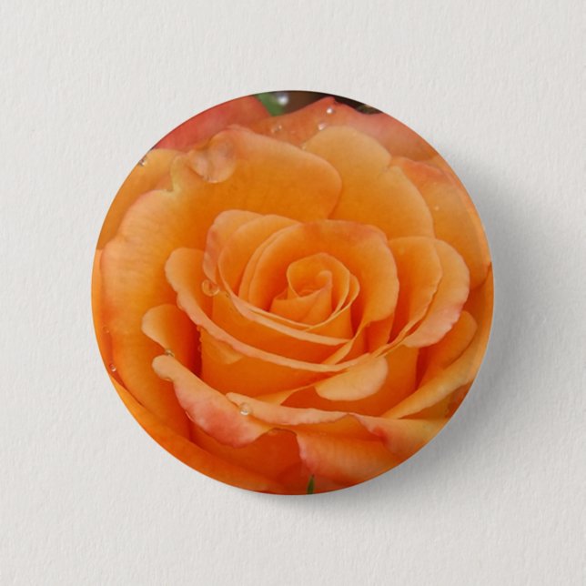 Orange Rose Button (Vorderseite)