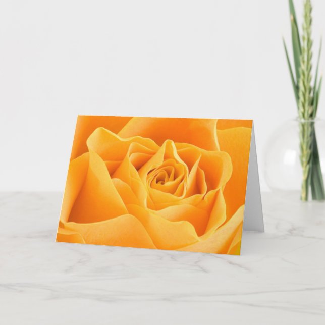 Orange Rose Card Karte (Vorderseite)