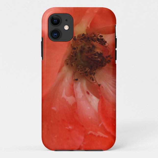 Orange Rose Case-Mate iPhone Hülle (Rückseite)