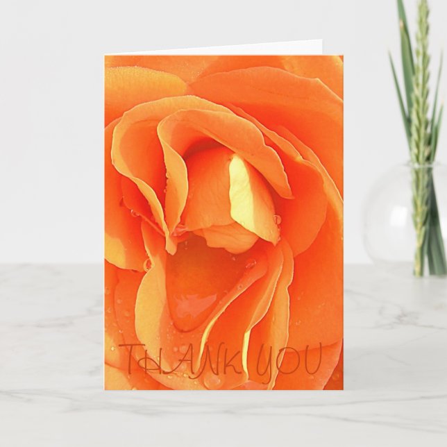 Orange Rose, DANKE (Vorderseite)