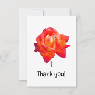 Orange Rose Dankeskarte
