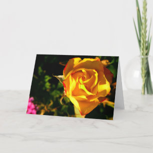 Orange Rose Feiertagskarte