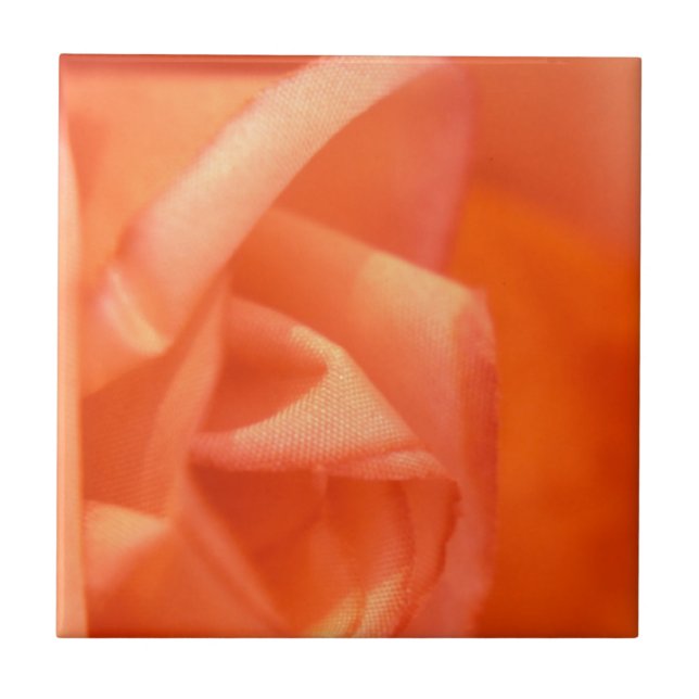 Orange Rose Fliese (Vorderseite)