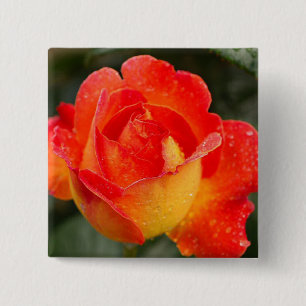 Orange Rose Floral Button