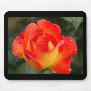 Orange Rose Floral Mousepad