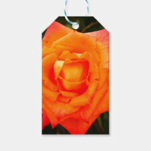 Orange Rose Foto Geschenk Tag Geschenkanhänger