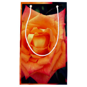 Orange Rose Foto Geschenktasche Kleine Geschenktüte