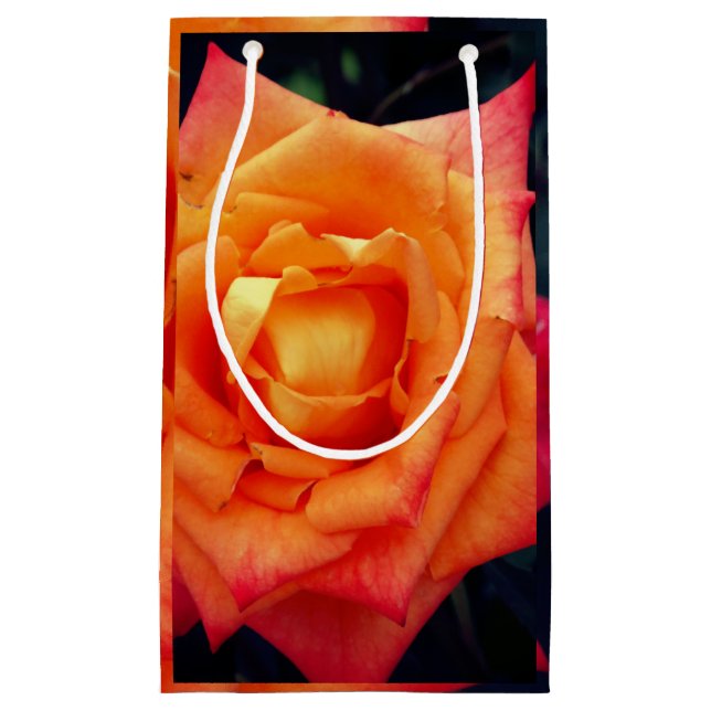 Orange Rose Foto Geschenktasche Kleine Geschenktüte (Vorderseite)