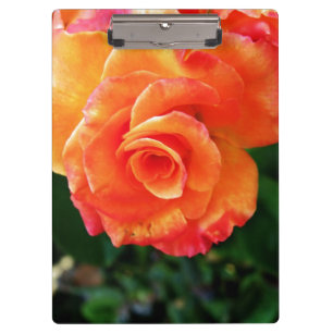 Orange Rose Fotografie Klemmbrett