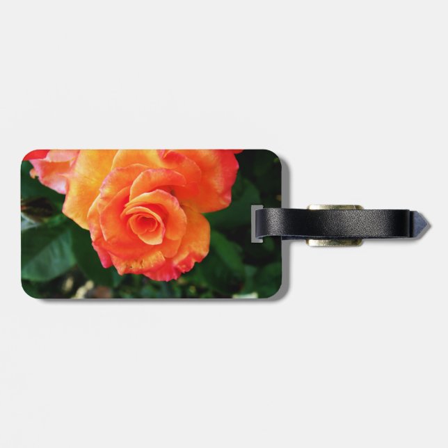 Orange Rose Gepäckanhänger (Rückseite horizontal)