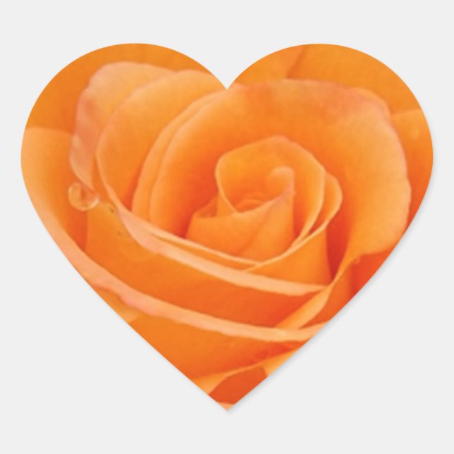 Orange Rose Herz-Aufkleber (Vorderseite)