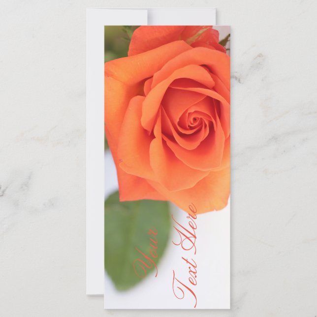 Orange Rose Hinzufügen einer Textflachkarte (Vorderseite)