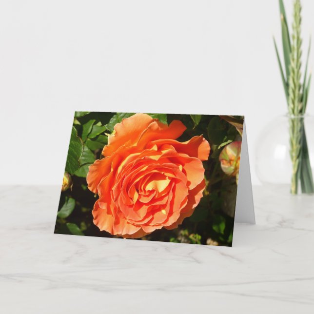Orange Rose I Hübsch Karte (Vorderseite)