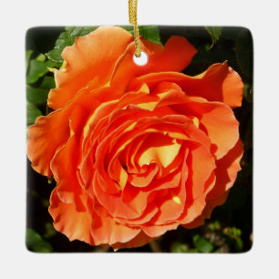 Orange Rose I Hübsch Keramikornament