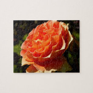 Orange Rose II Beautiful Floral Puzzle
