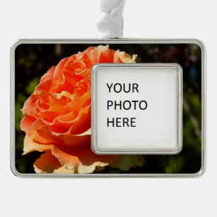 Orange Rose II Beautiful Floral Rahmen-Ornament Silber