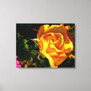 Orange Rose Leinwanddruck