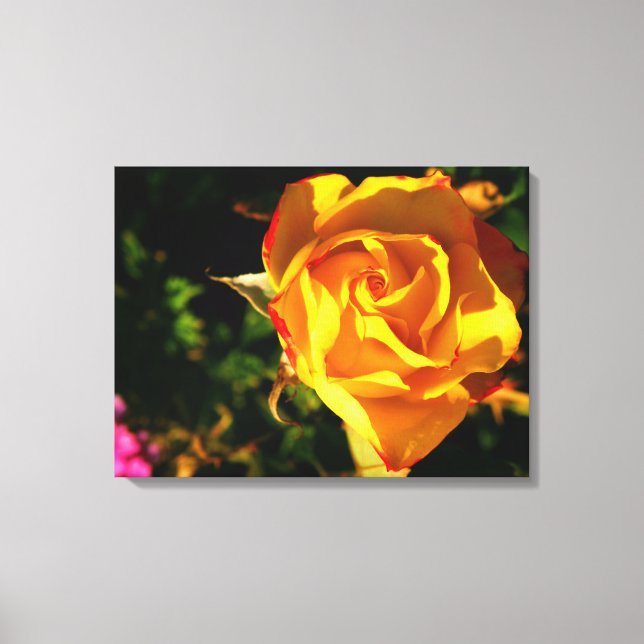 Orange Rose Leinwanddruck (Vorderseite)
