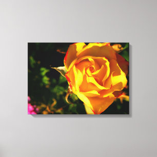 Orange Rose Leinwanddruck