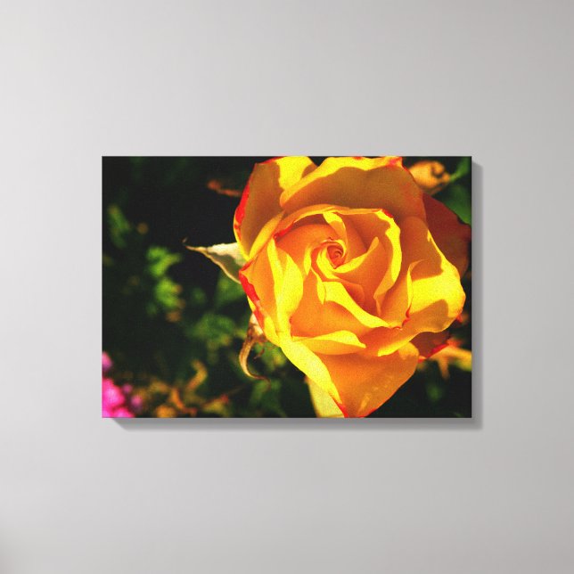 Orange Rose Leinwanddruck (Vorderseite)