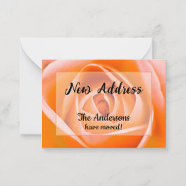 Orange Rose New Address Ankündigung