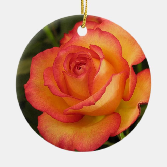 Orange Rose Ornament (Vorne)
