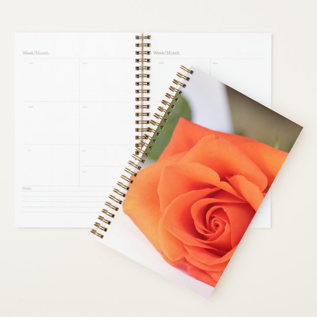 Orange Rose Petals Blume Floral Planer (Anzeige)