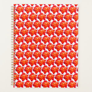 Orange Rose Planer