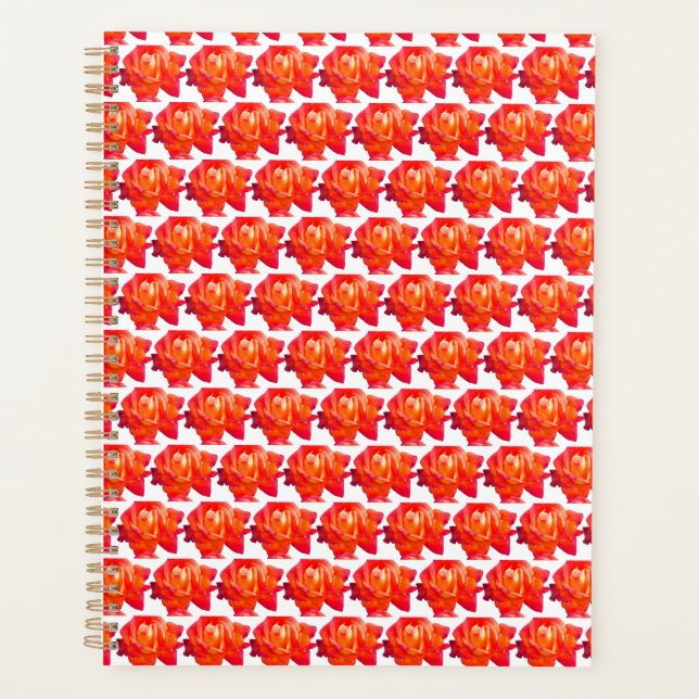 Orange Rose Planer (Vorderseite)