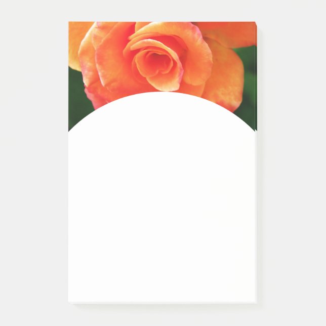 Orange Rose Post-it Klebezettel (Vorderseite)