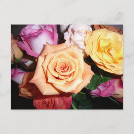Orange Rose Postkarte