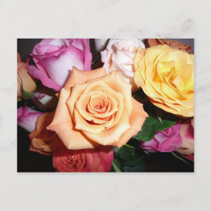 Orange Rose Postkarte