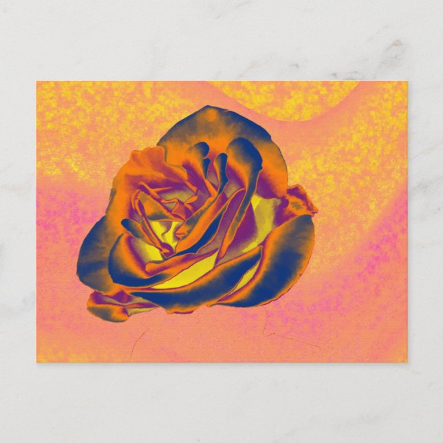 Orange Rose Postkarte (Vorderseite)