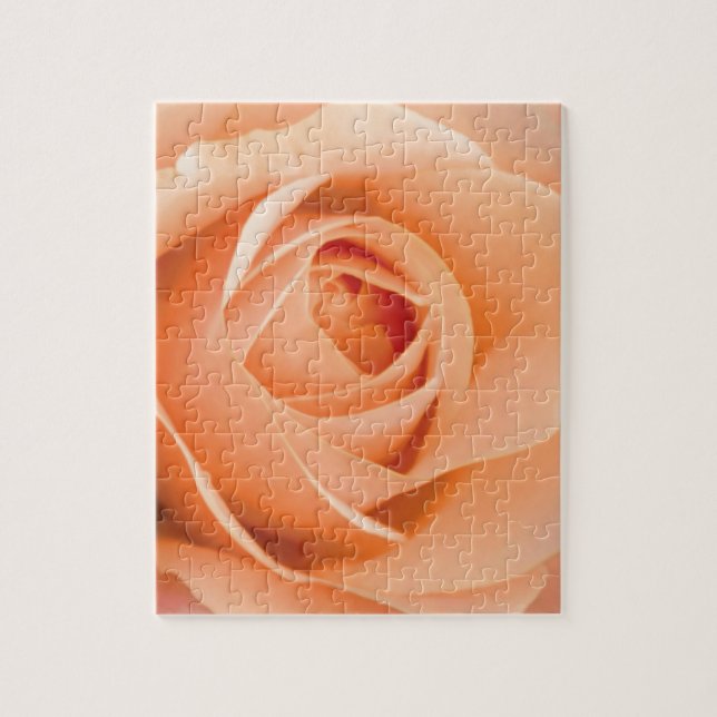 Orange Rose Puzzle (Vertikal)