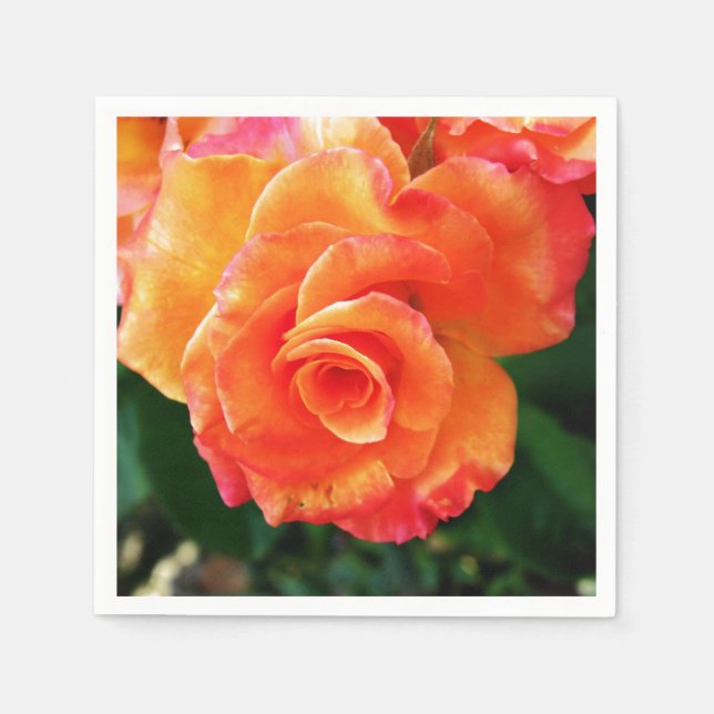 Orange Rose Serviette (Vorderseite)