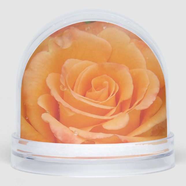 Orange Rose Snow Globe Schneekugeln (Vorderseite)
