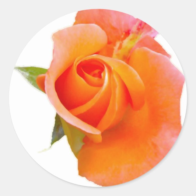 Orange Rose Stikers Runder Aufkleber (Vorderseite)
