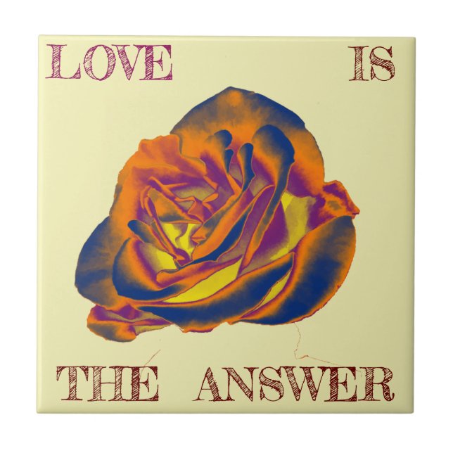 Orange Rose Tile Fliese (Vorderseite)