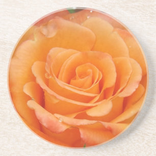 Orange Rose Untersetzer
