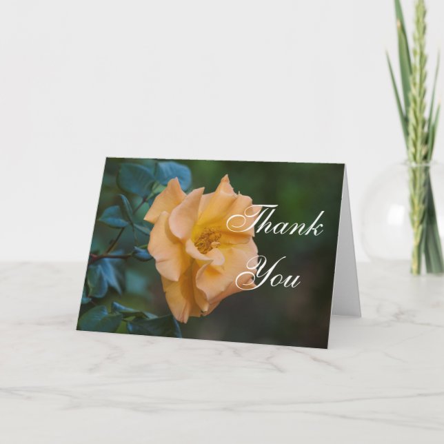 Orange Rose Vielen Dank Dankeskarte (Vorderseite)