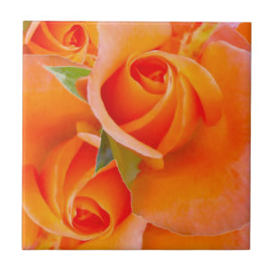 Orange Rose von Alexandra Cook Fliese
