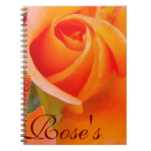 Orange Rose von Alexandra Cook Notizblock