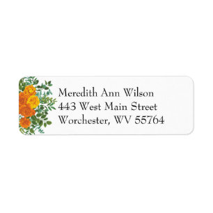 Orange Rose Wedding Elegante Schöne Aussicht