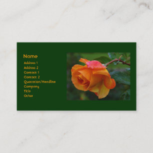 Orange Rosen-Geschäfts-Karte Visitenkarte