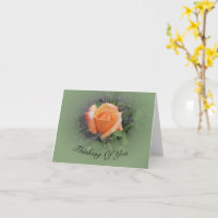 Orange Rosenknospe