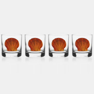 Orange Scallop Muschel Seashell Whiskyglas