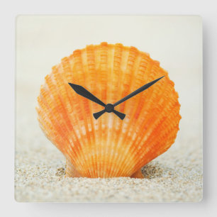 Orange Scallop Shell Standing Upright In Sand Quadratische Wanduhr