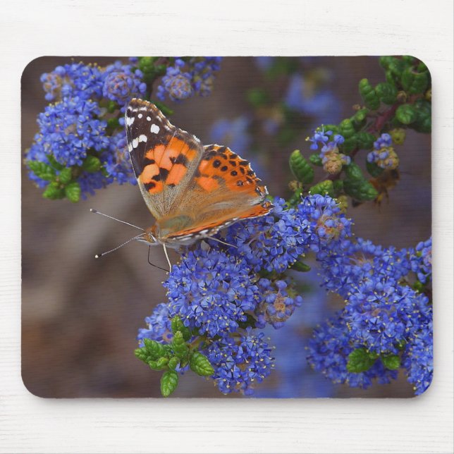 Orange Schmetterling auf blauer Blume Mousepad (Vorne)